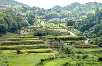 大作山の千枚田