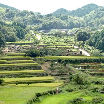 大作山の千枚田