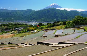 中野の棚田