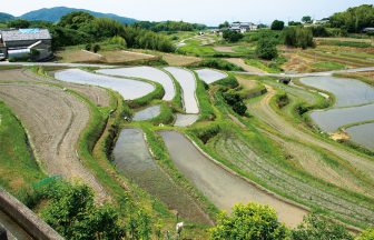 長澤の棚田