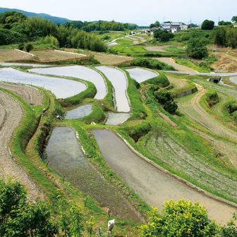 長澤の棚田