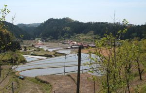 徳地串の棚田