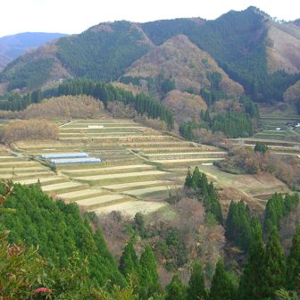 下の原の棚田