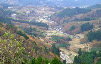 鳥の巣の棚田