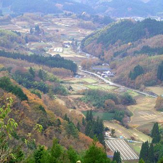 鳥の巣の棚田