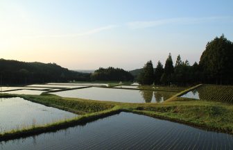 兵庫畑の棚田