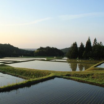 兵庫畑の棚田