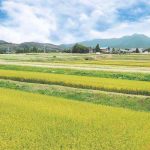 蔵王上野（ざおううわの）｜　山形県山形市