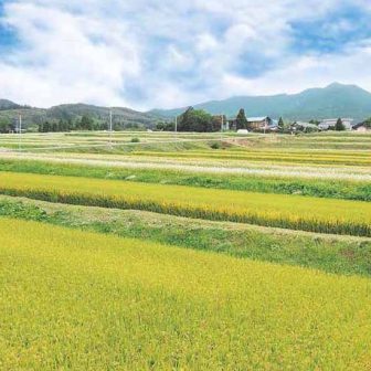 蔵王上野の棚田