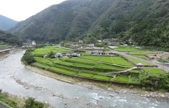 春の平棚田