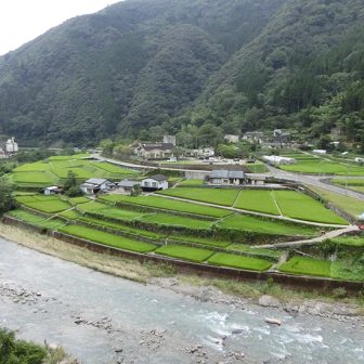 春の平棚田