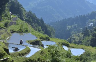下影の棚田