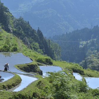 下影の棚田