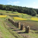 蔵王駒鳴（ざおうこまなかせ）｜　山形県山形市