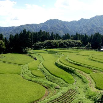 うへ山の棚田