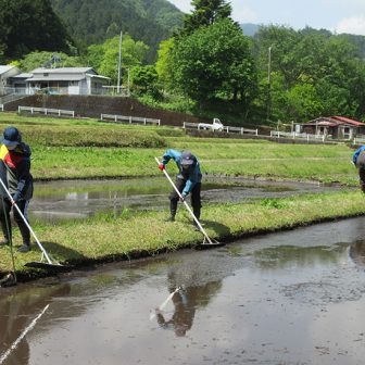 1茅野の棚田