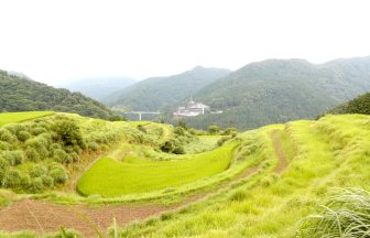 西ヶ岡の棚田