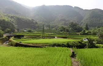 向江の棚田