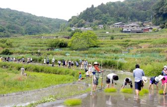 西畑の棚田