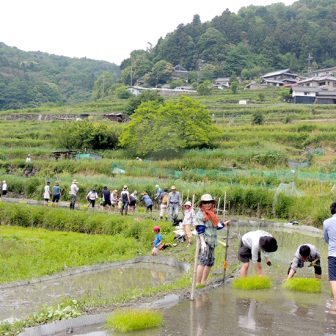 西畑の棚田