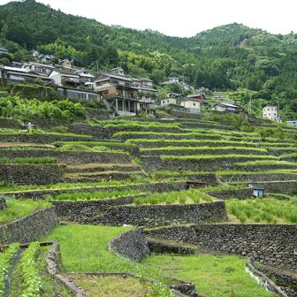 長者の棚田