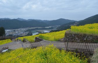 有瀬の棚田