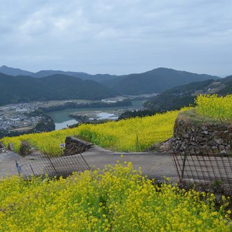 有瀬の棚田