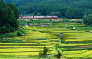 初瀬棚田と近畿日本鉄道大阪線［長谷寺～榛原間］