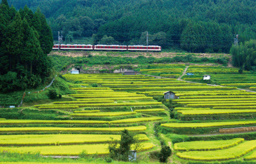 初瀬棚田と近畿日本鉄道大阪線［長谷寺～榛原間］