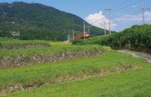 鵜川棚田とＪＲ湖西線［北小松～近江高島間］
