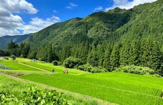 奥住小保木（おくずみこぼき）