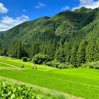 奥住小保木（おくずみこぼき）