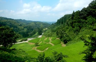 20_奥山田