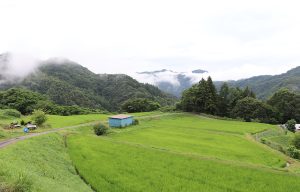 2重太郎＿生婦平地区
