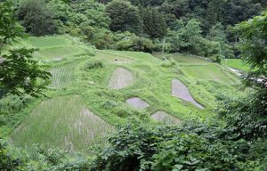 1重太郎＿梨の木地区