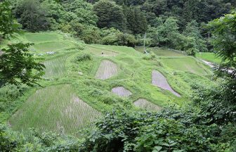 1重太郎＿梨の木地区
