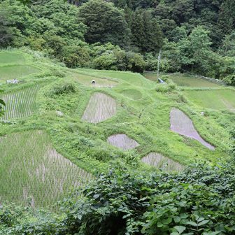 1重太郎＿梨の木地区