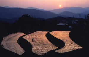 掲載不可＿荒原棚田
