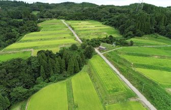 中原棚田
