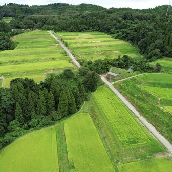 中原棚田