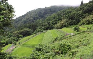 4重太郎＿中村地区