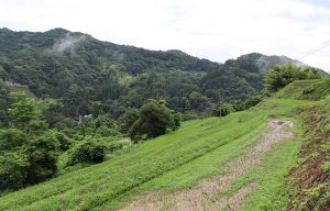 3重太郎＿馬落し地区