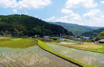 油ヶ崎棚田