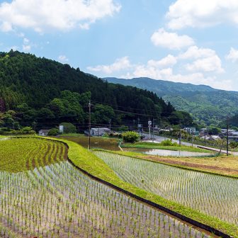 油ヶ崎棚田