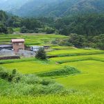 荒原（あれはら）｜　	静岡県伊豆市