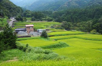 1‗荒原棚田