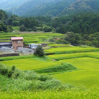 1‗荒原棚田