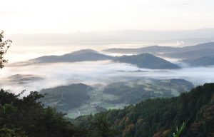 伊賀　西山の棚田1