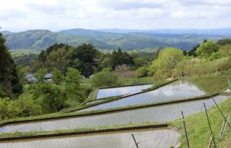 伊賀　西山の棚田3