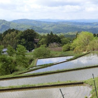 伊賀　西山の棚田3